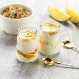Yogurtera y quesera 2 en 1